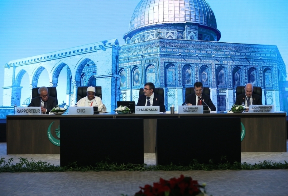 OIC Secretary-General calls on member states to invest more in critical sectors of economy