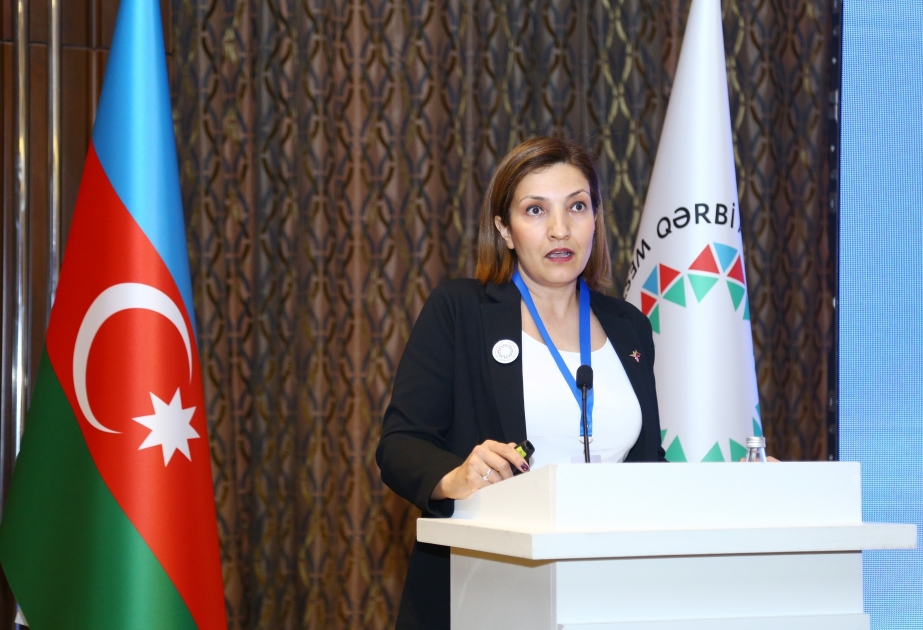 Турецкий профессор: Следы Азербайджана в Иреване намеренно стерты