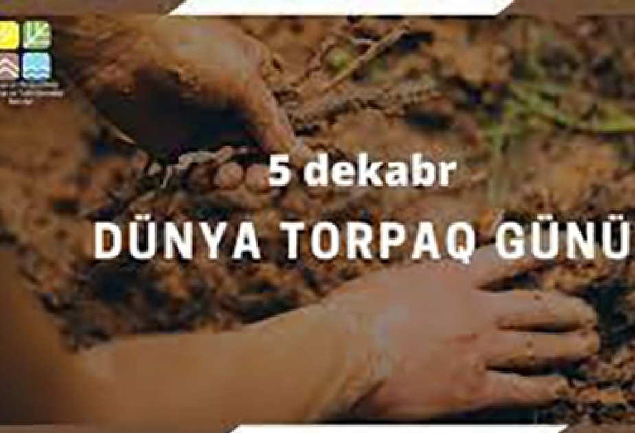 5 dekabr - Dünya torpaq günündə meşə fondu torpaqlarında 30 mindən çox ağac əkilib