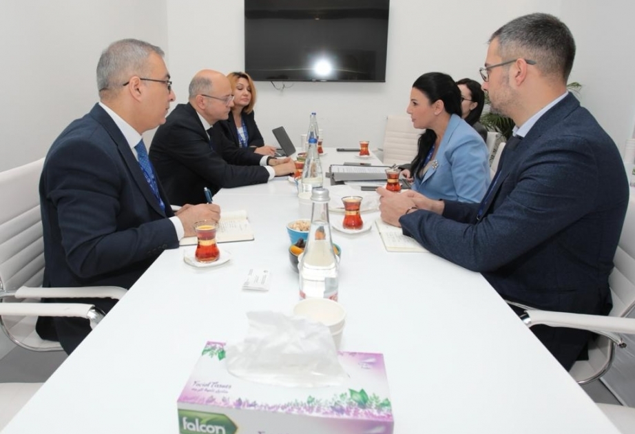 Azerbaijan, Albania discuss energy cooperation