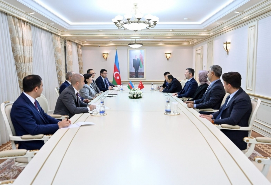 Speaker of Azerbaijan`s Milli Majlis meets with Türkiye's Justice and Development Party delegation