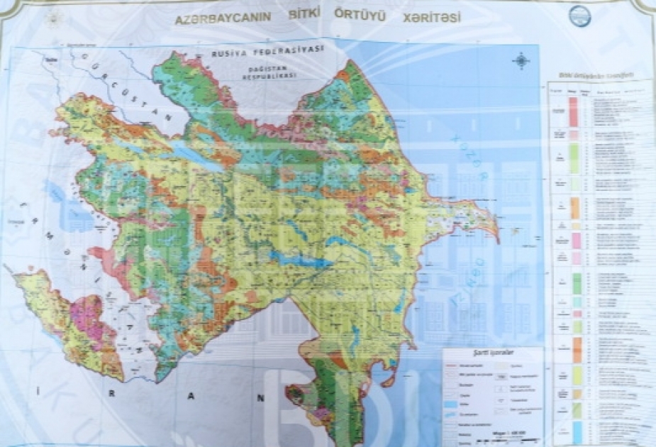 Профессор БГУ Эльшад Гурбанов составил карту растительности страны