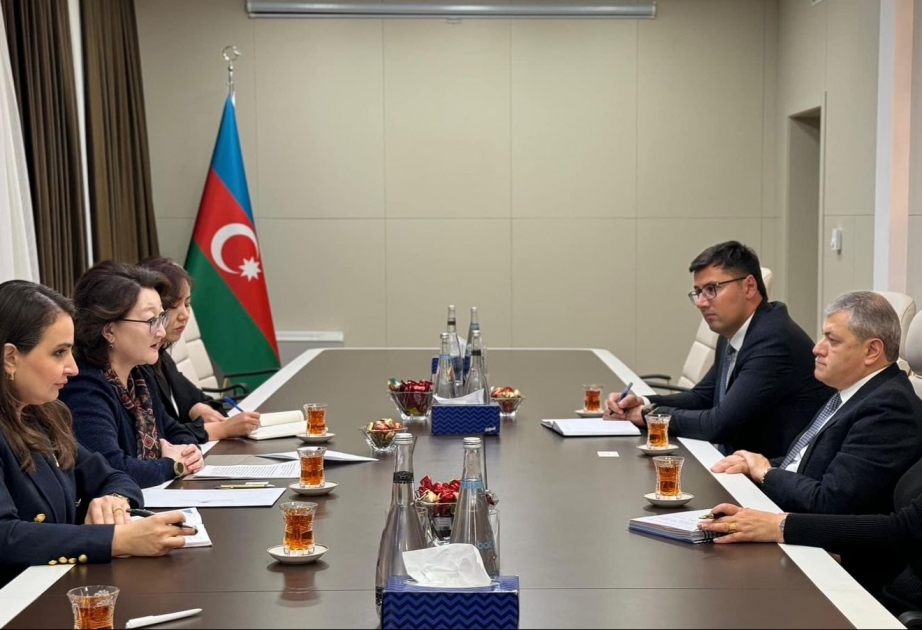 Türk Mədəniyyəti və İrsi Fondunun prezidenti Şuşada yenidənqurma işləri barədə məlumatlandırılıb