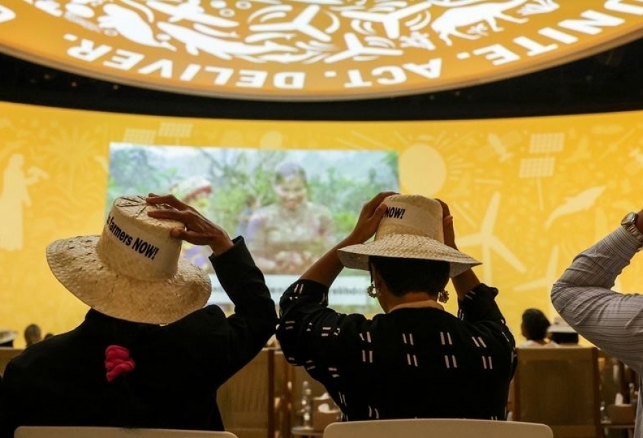 COP28: The UN’s net-zero food plan to save the 1.5-degree goal, combat climate ‘doomisim’