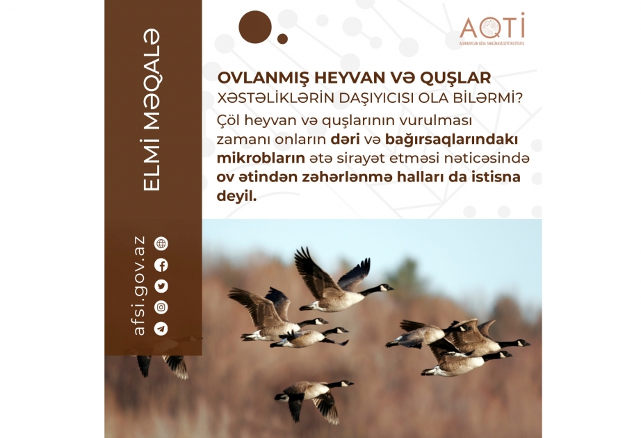 Ovlanmış heyvan və quşlar xəstəliklərin daşıyıcısı ola bilərmi?