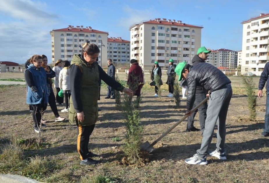 Qubadlı sakinləri ağacəkmə aksiyası və iməcilik keçiriblər