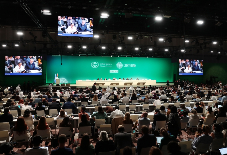 Azerbaijan to host COP29 in 2024