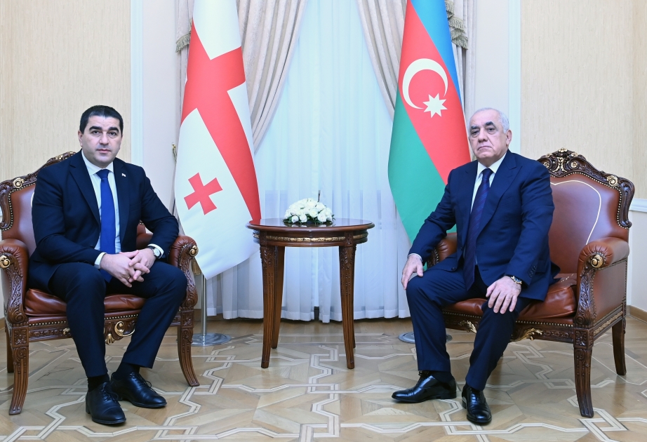 Le Premier ministre azerbaïdjanais rencontre le président du Parlement géorgien