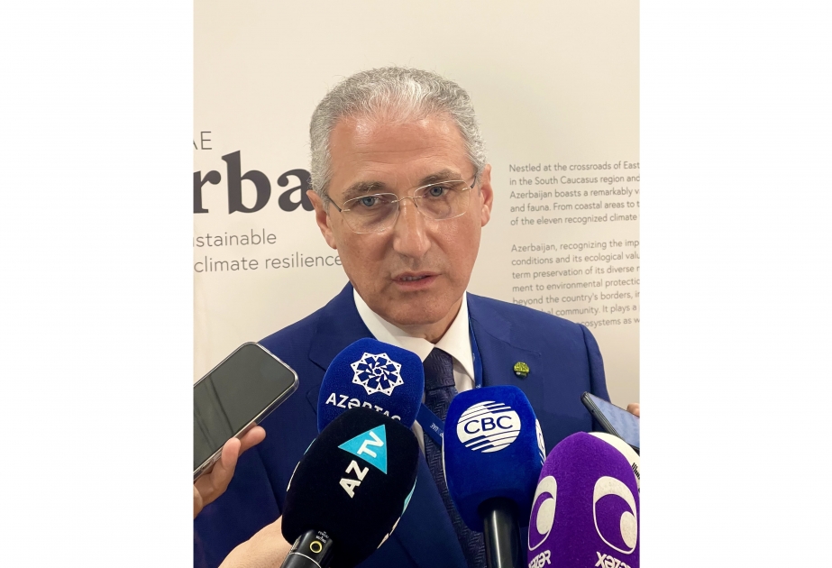 Мухтар Бабаев: Проведение в Азербайджане COP29 – огромный шанс представить миру климатическую повестку