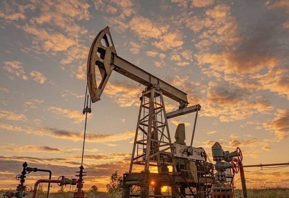 Preis von Azeri light leicht zugelegt