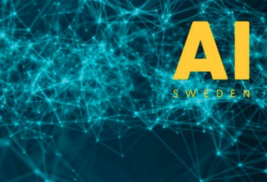 Новая модель ИИ создана для государственных секторов Швеции