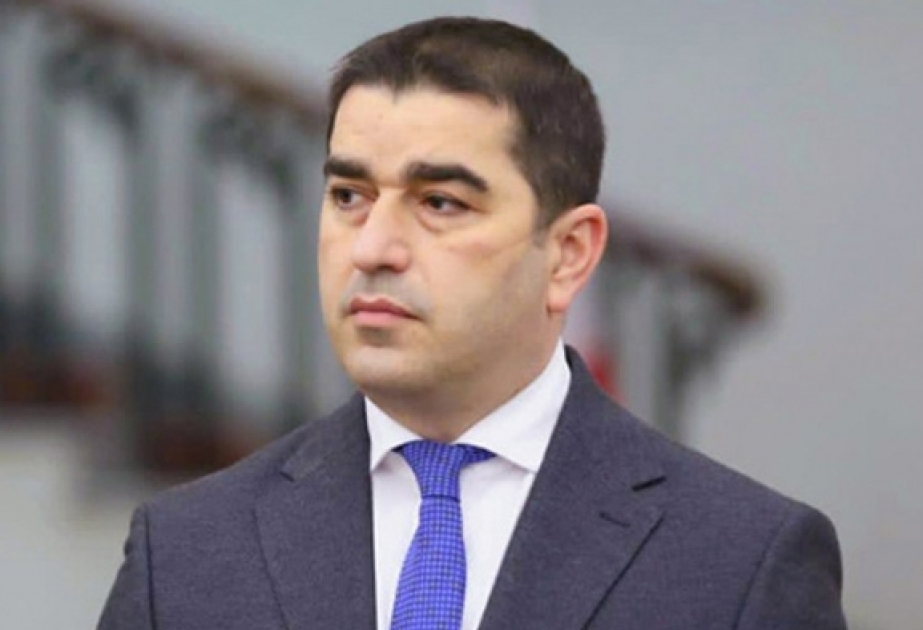 Parlament sədri: Azərbaycan və Gürcüstanı birləşdirən təkcə dostluq, strateji tərəfdaşlıq deyil, qardaşlığımızdır