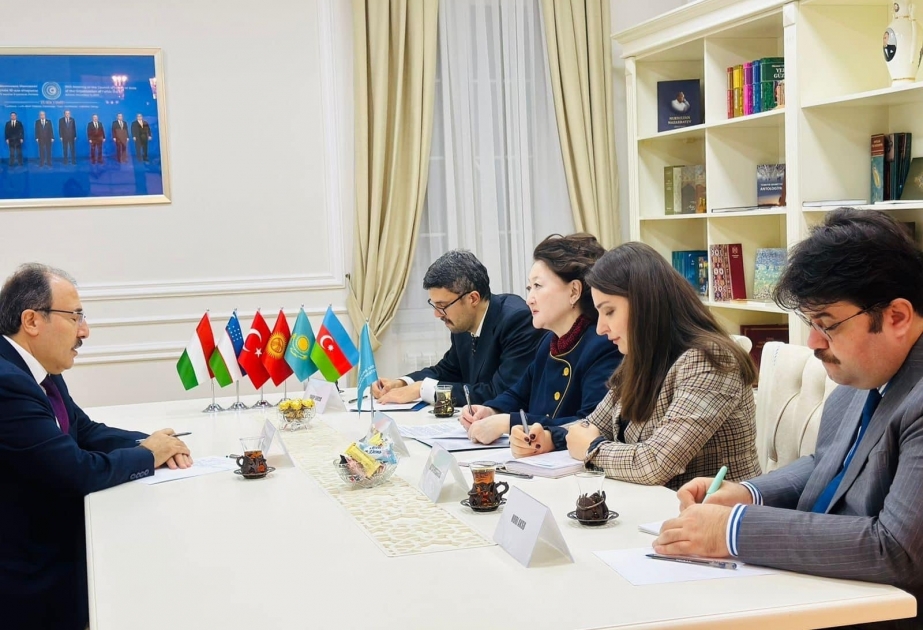 President of the Turkic Culture and Heritage Foundation meets with Ambassador of Türkiye to Azerbaijan