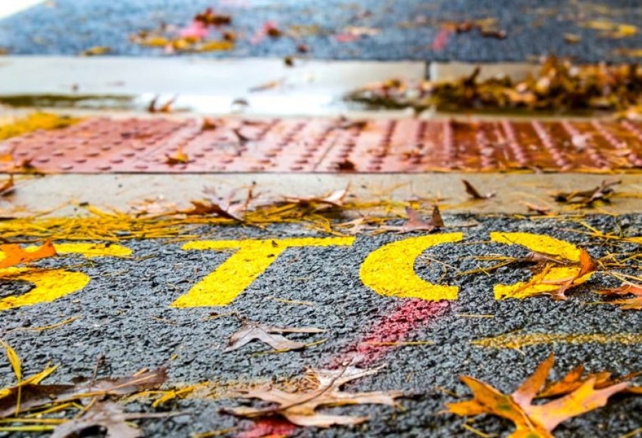 L’OMS : plus de 2 personnes de moins de 30 ans meurent par minute d'accidents de la route