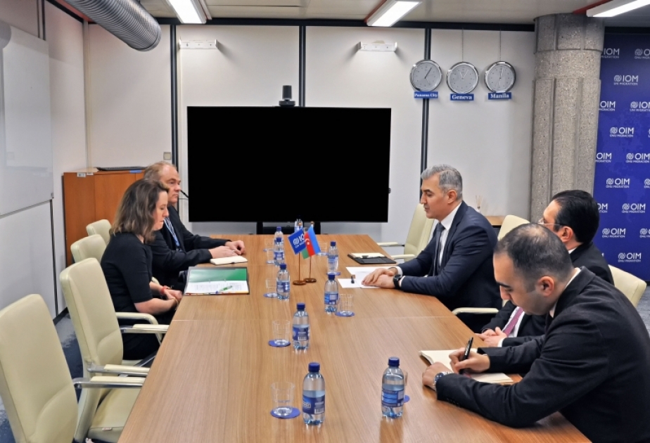Beynəlxalq Miqrasiya Təşkilatı ilə əməkdaşlıq məsələləri müzakirə edilib