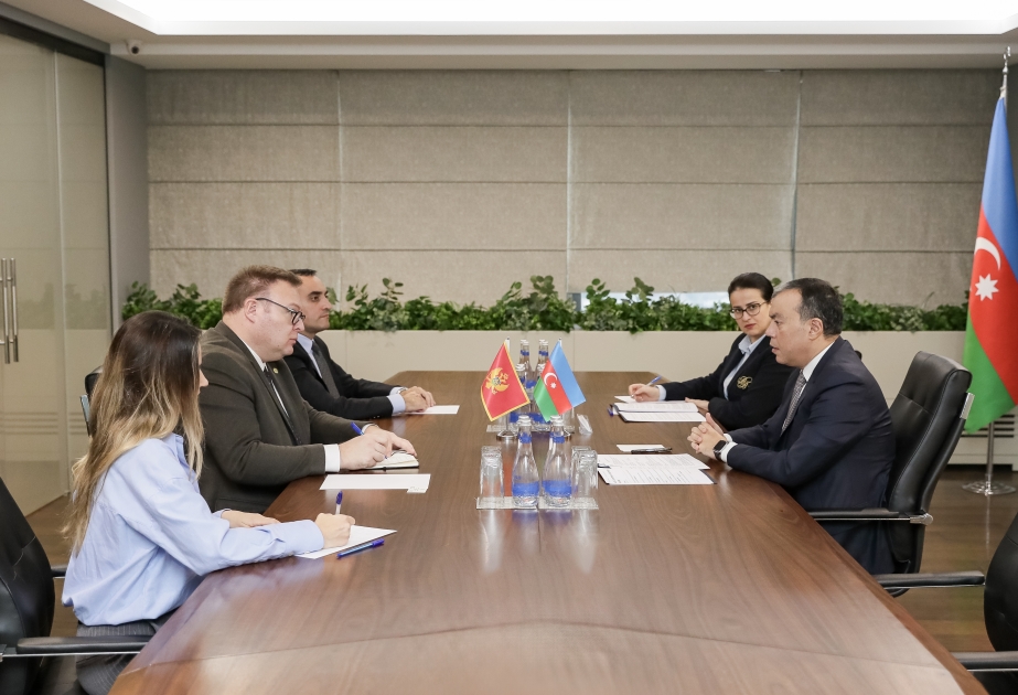 Azerbaijan, Montenegro discuss prospects for future cooperation