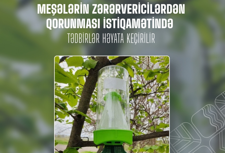673 hektardan artıq meşə fondu torpağında aqrotexniki, kimyəvi və mexaniki işlər aparılıb