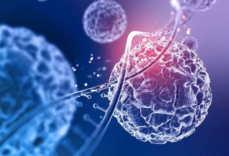 Xərçənglə mübarizəni gücləndirən lipid nanohissəciklər kəşf olunub