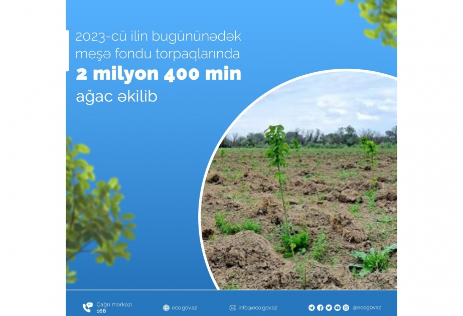 İlin ötən dövrü ərzində meşə fondu torpaqlarında 2 milyon 400 min ağac əkilib