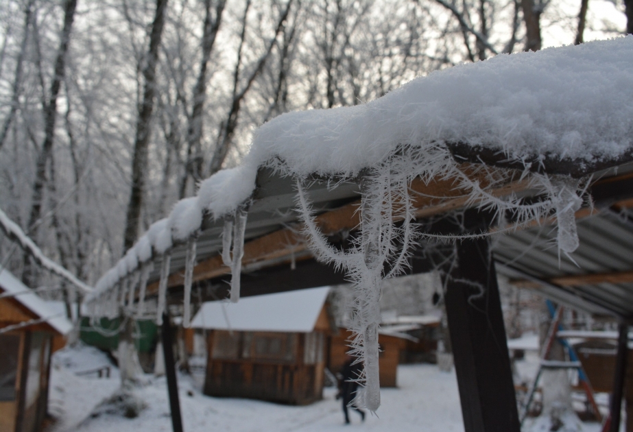 Неопытным водителям не рекомендуется ездить по горным дорогам Губы в снежную погоду -  ФОТОРЕПОРТАЖ  из Гечрешского леса