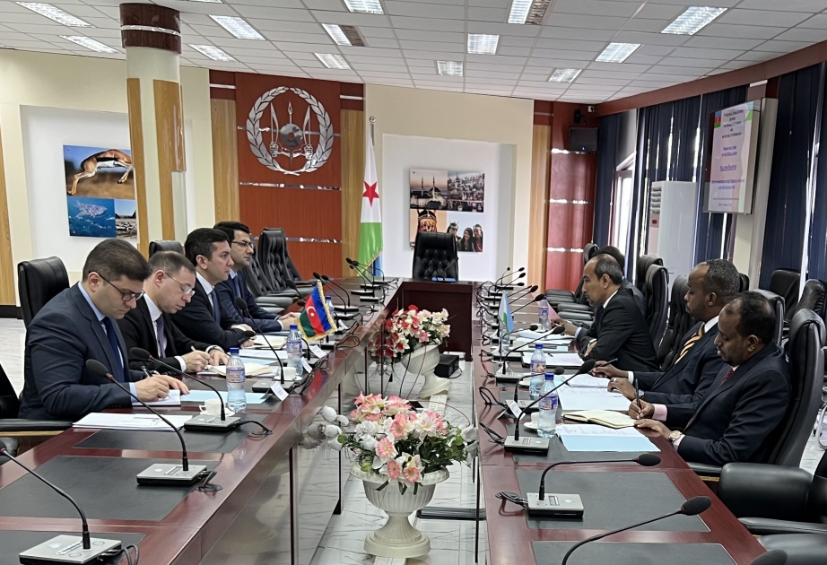 Azərbaycan və Cibuti xarici işlər nazirlikləri arasında siyasi məsləhətləşmələr keçirilib