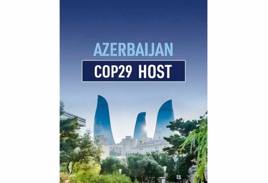 Las organizaciones de la sociedad civil de Azerbaiyán emiten una declaración conjunta sobre la COP29