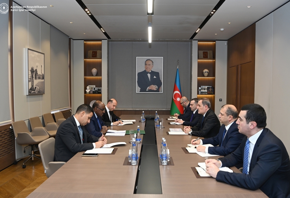 Azerbaijan, OIC discuss cooperation