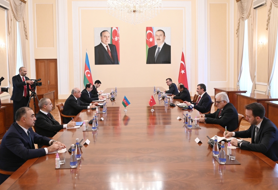 Baş nazir Əli Əsədov Türkiyənin vitse-prezidenti Cevdet Yılmaz ilə görüşüb