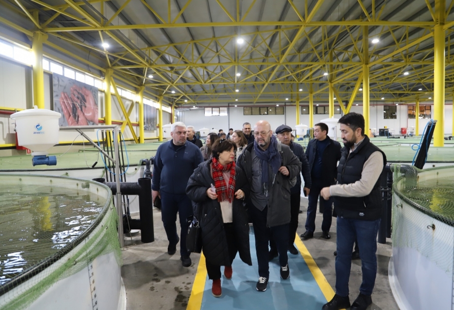 Balıqçılıq təsərrüfatı və akvakultura sahəsində Regional Komissiyanın iştirakçıları balıqyetişdirmə zavodunda olublar