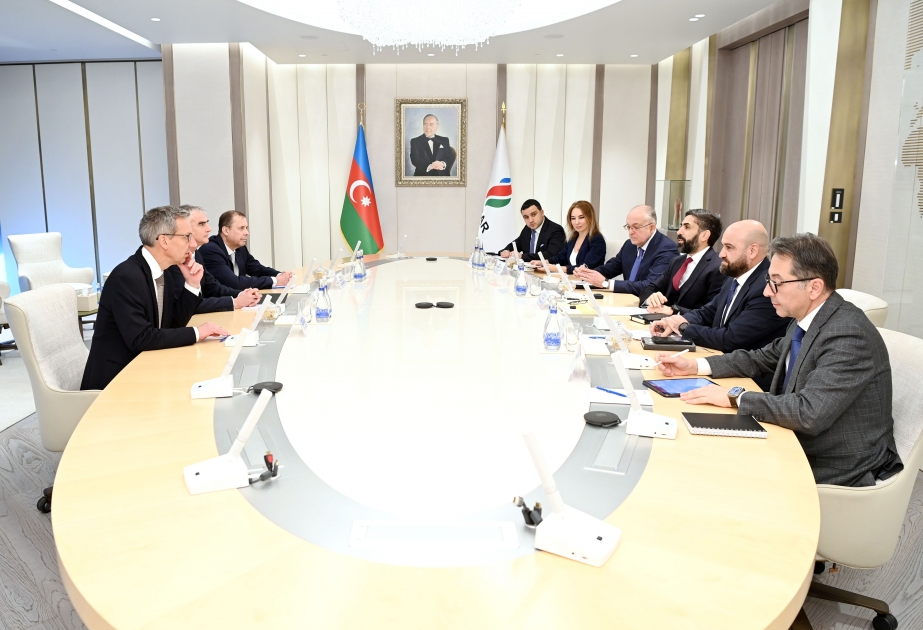 Le président de la SOCAR rencontre le vice-président sénior de TotalEnergies