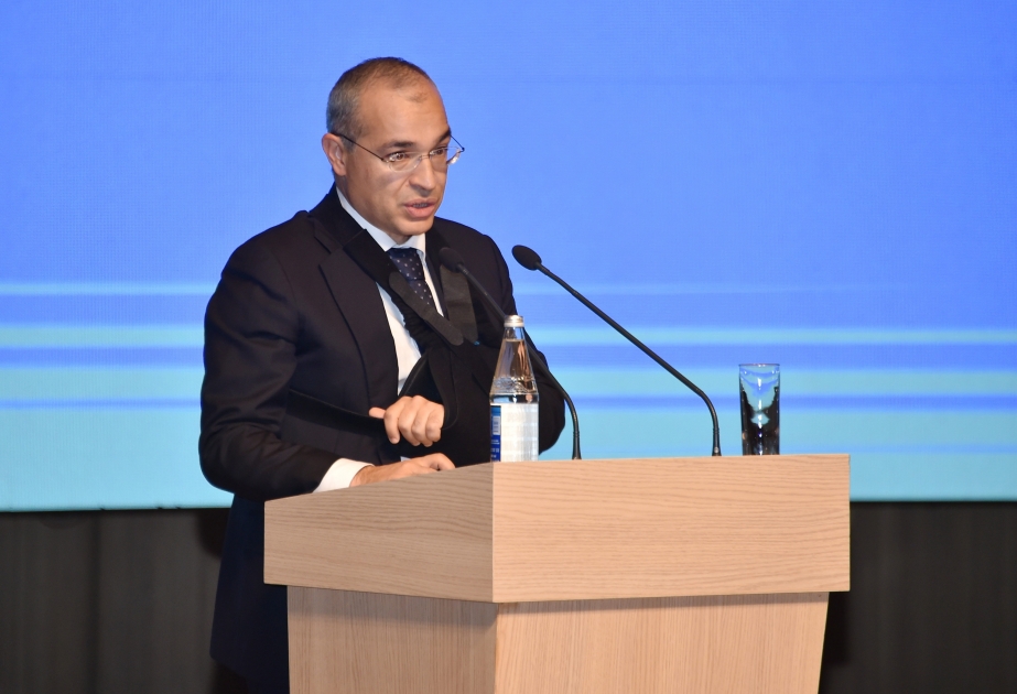 Министр: В текущем году товарооборот между Азербайджаном и Турцией составил 7,2 миллиарда долларов