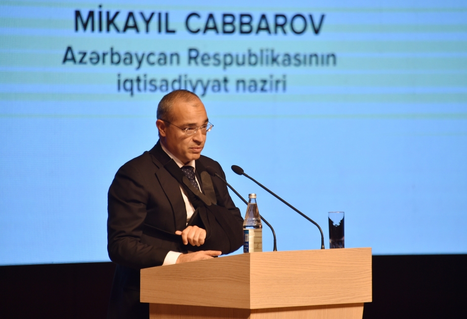 Министр: С 1995 года Азербайджан инвестировал в братскую Турцию 19,9 миллиарда долларов
