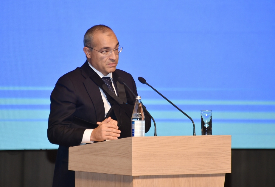 Микаил Джаббаров: Газопровод Ыгдыр-Нахчыван является еще одним примером азербайджано-турецкого братства