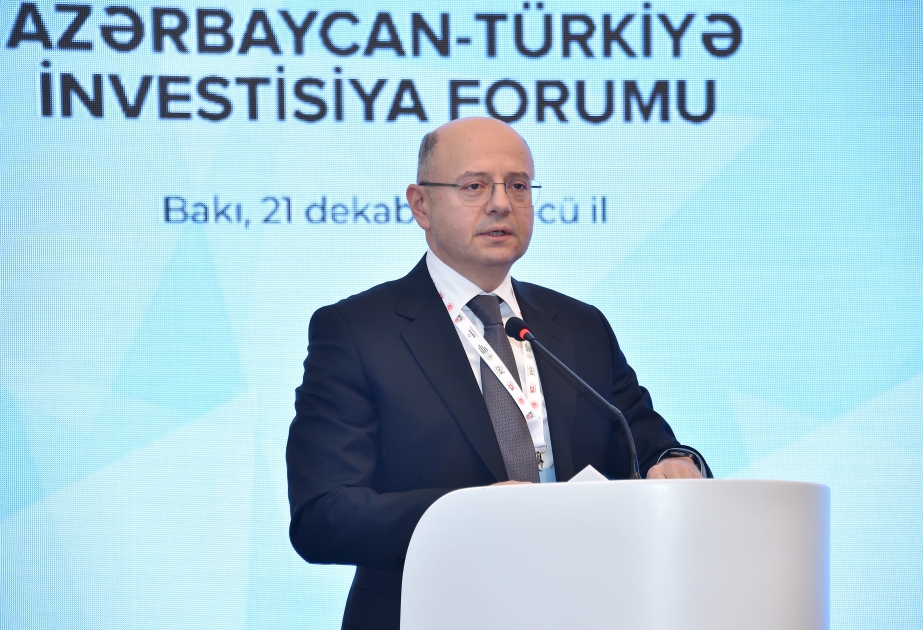 Министр: Энергетический коридор Азербайджан-Турция-Европа внесет вклад в «зеленое» энергетическое сотрудничество тюркских государств