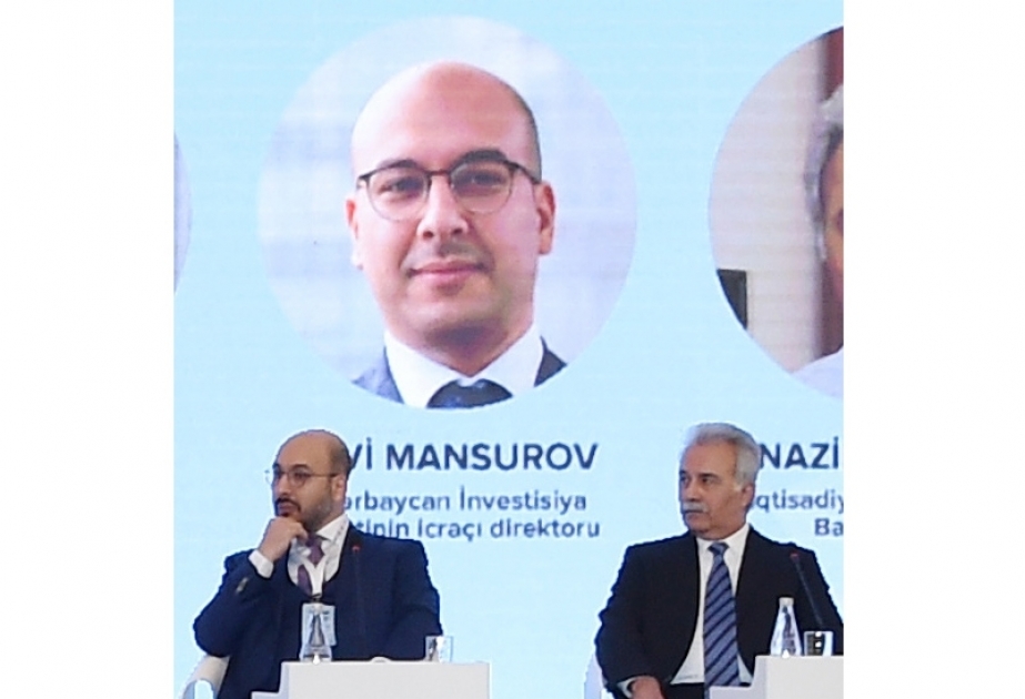 Turkish company to lead reconstruction of 5 small hydropower plants in Kalbajar and Lachin, says AIC Executive Director