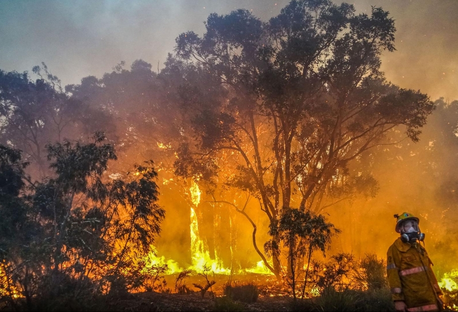 Buschbrand: Vorort der australischen Metropole Perth geräumt