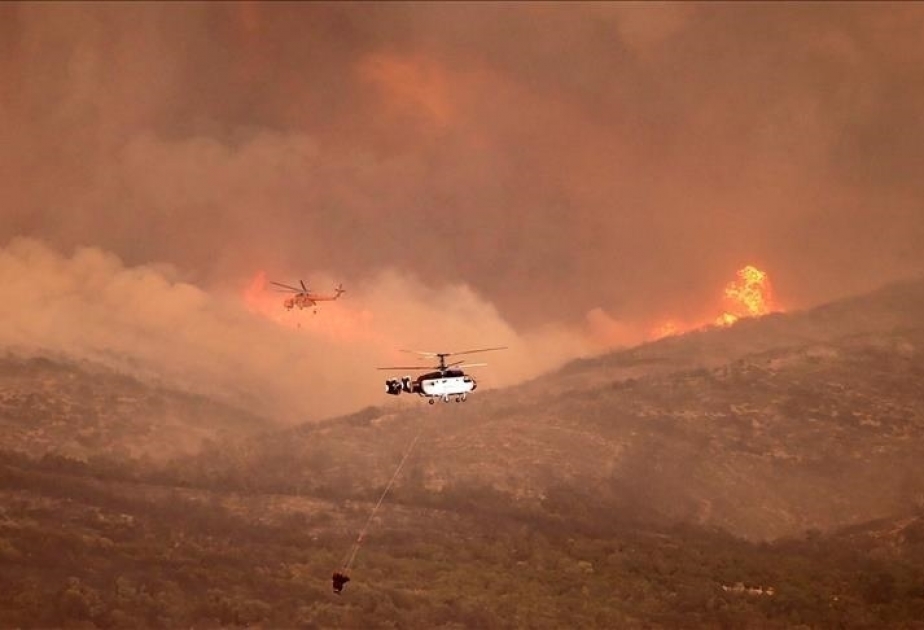 Crisis mundial desatada: “Los devastadores incendios forestales de 2023 se apoderan del planeta”