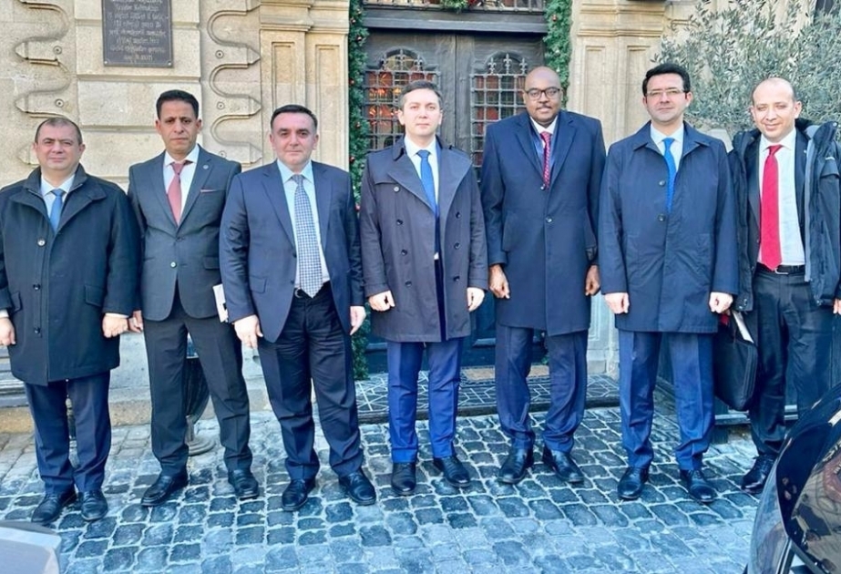 Azerbaijan, OIC to expand cooperation in humanitarian field