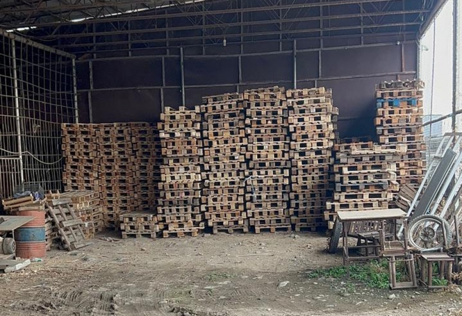 Şəmkirdə fəaliyyət göstərən sexdə mənbəyi məlum olmayan içlik ağac materialları aşkarlanıb