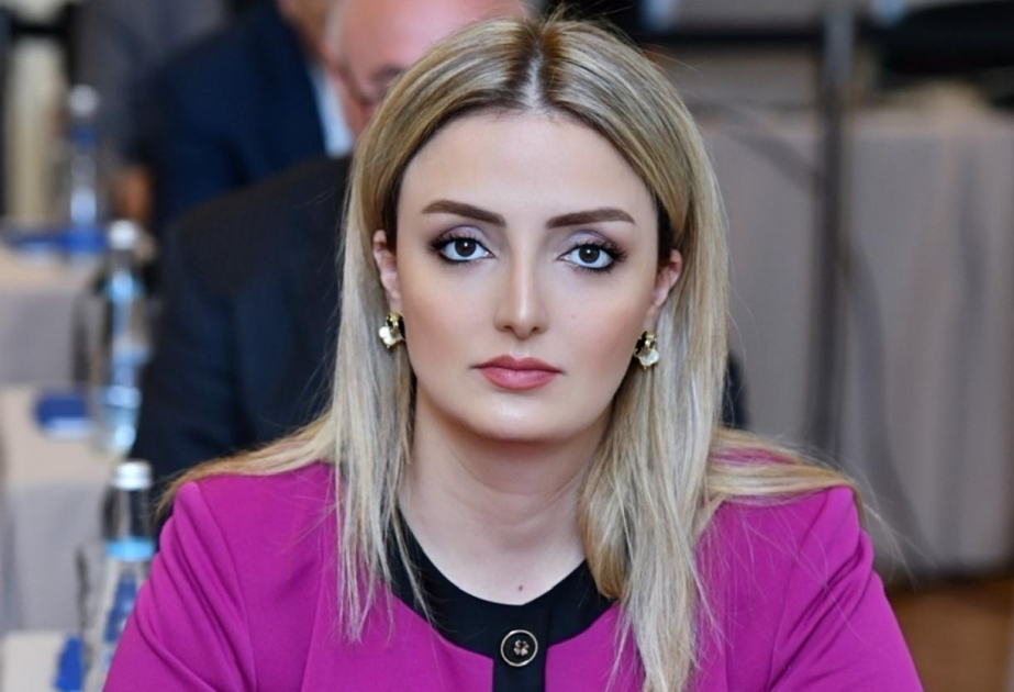 Deputat: “Məişət zorakılığının qarşısının alınması haqqında” Qanuna dəyişikliklər zərərçəkmişlərin hüquqlarının müdafiəsini gücləndirəcək