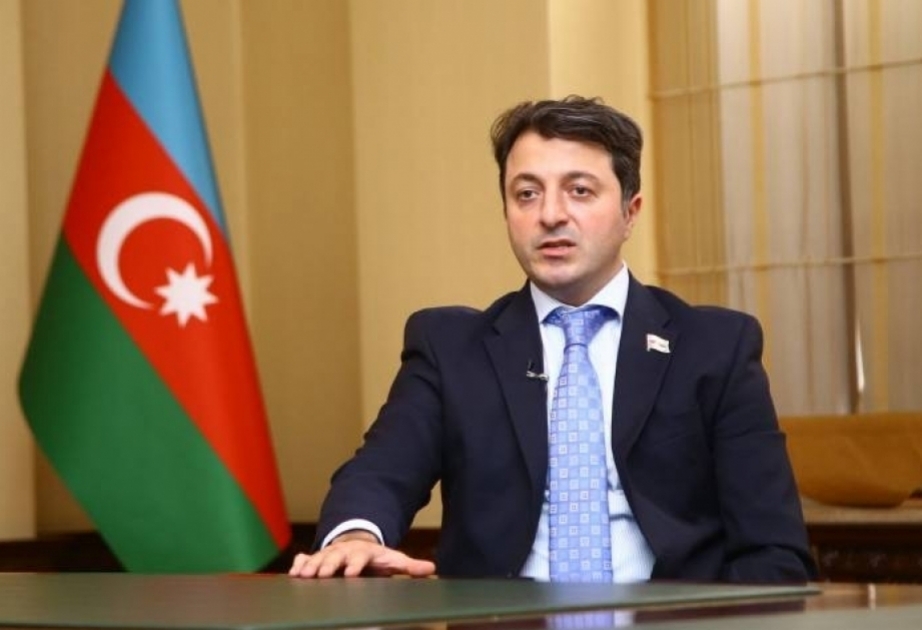 Турал Гянджалиев: Неуважение к памятнику Хуршидбану Натаван показывает слабость Франции
