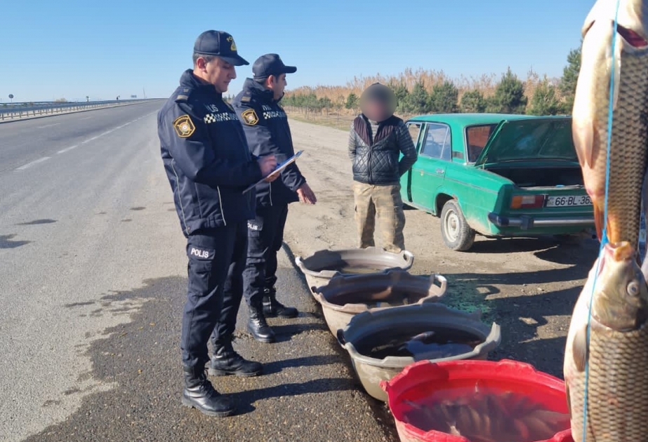 Su polisi Mingəçevirdə qanunsuz balıq ovunun qarşısının alınması məqsədilə tədbir keçirib
