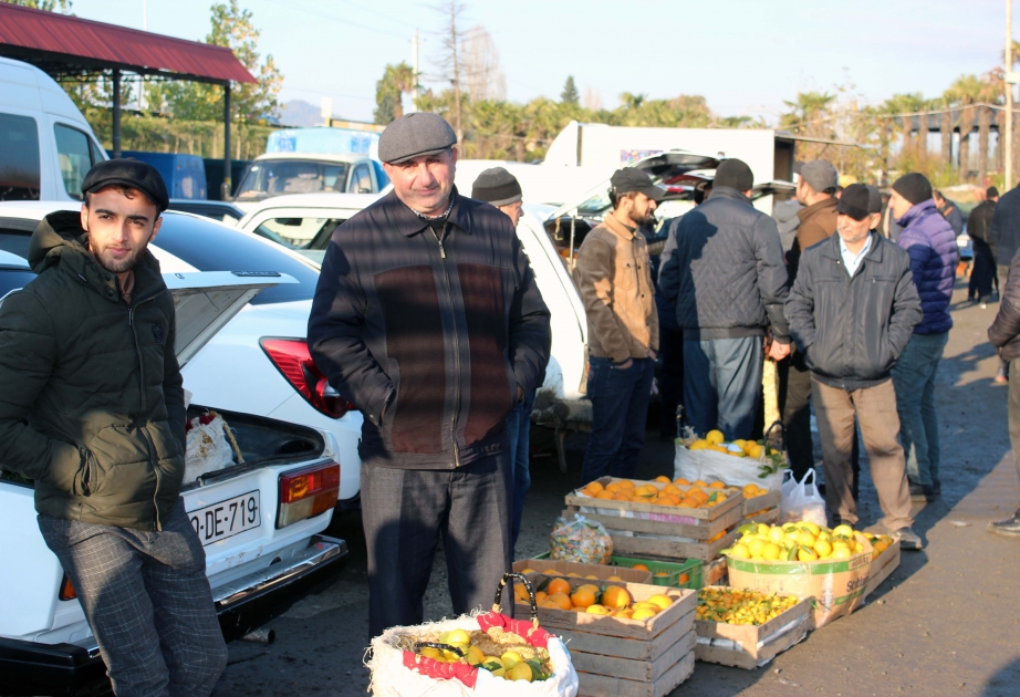 Lənkəranın sitrus bazarından reportaj  FOTO VİDEO