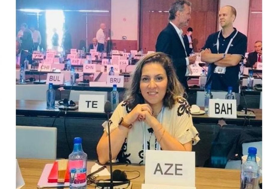 İcraçı direktor: Gələcəkdə Azərbaycan millisinə əcnəbi tennisçilər cəlb oluna bilər -  MÜSAHİBƏ