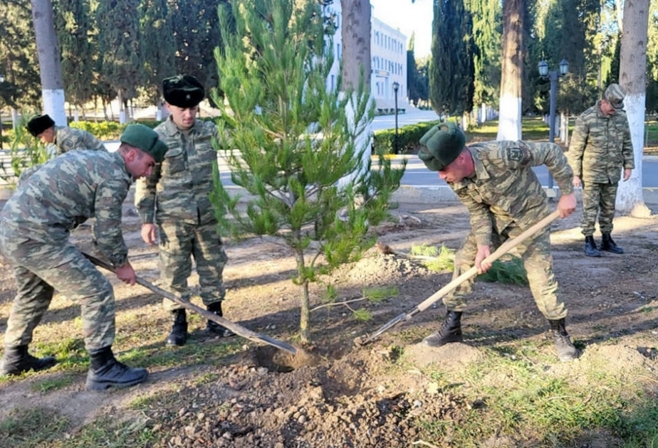 Azerbaijan Army holds tree-planting campaigns