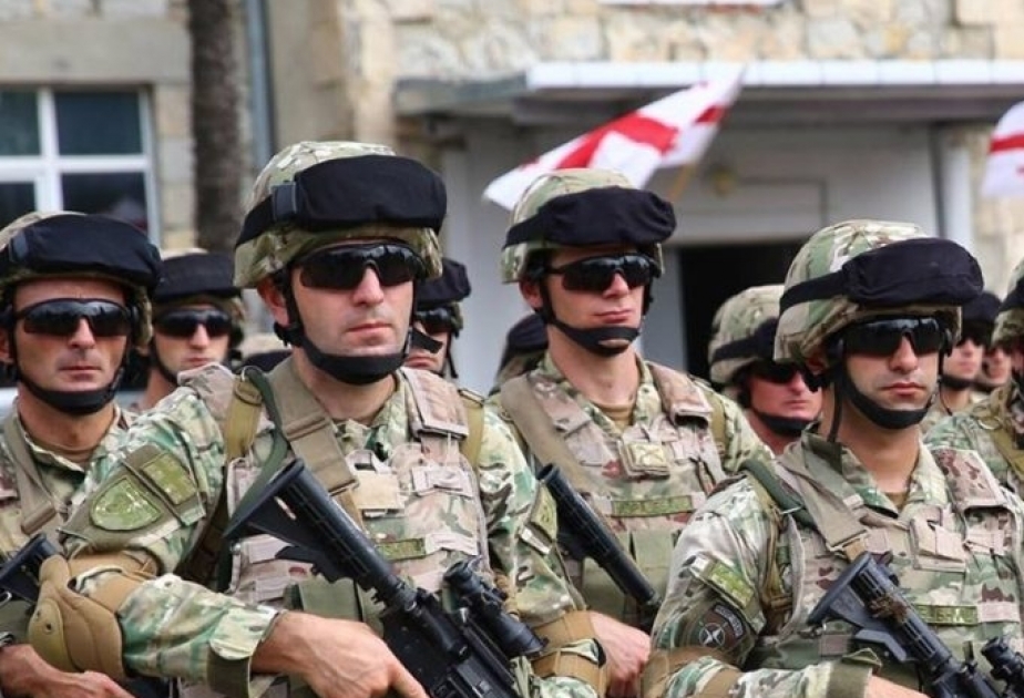 Gürcüstanın Müdafiə Qüvvələrinin sayı 37 min nəfər olacaq