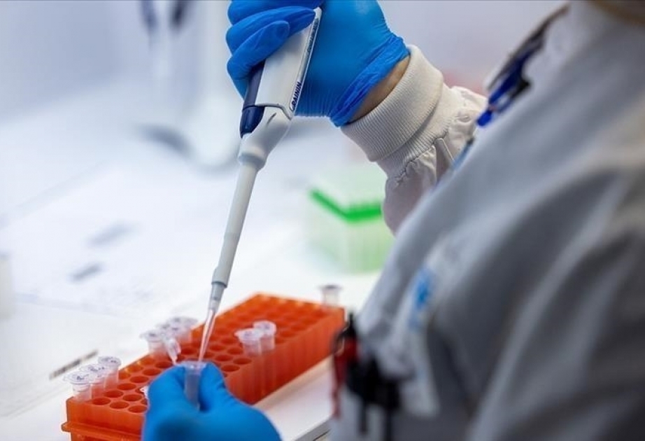 COVID-19 cases increased by 52% before end of 2023: WHO