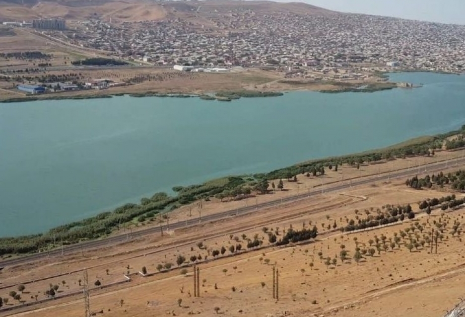 Xocəsən gölünün yaxınlığında yeni Nəbatat Parkı salınacaq
