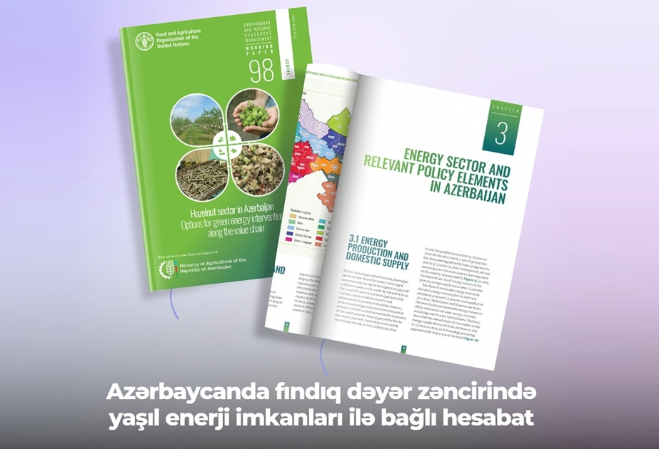 Azərbaycanda fındıq dəyər zəncirində yaşıl enerji imkanları ilə bağlı hesabat dərc edilib