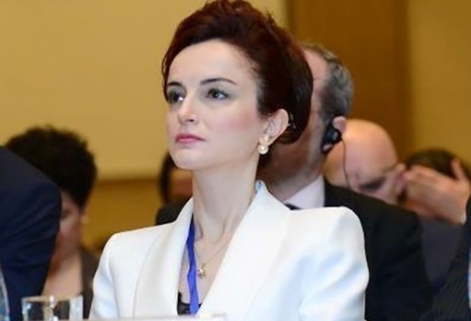 Статья профессора Роиды Рзаевой опубликована в престижном международном журнале
